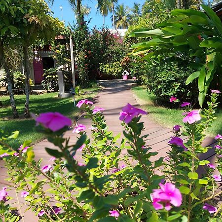 Hotel Casa Robinson Las Terrenas Extérieur photo