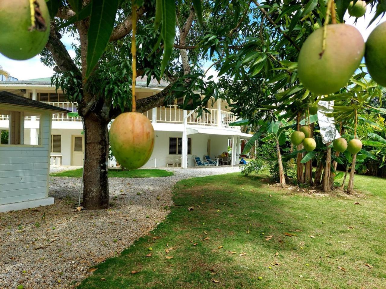 Hotel Casa Robinson Las Terrenas Extérieur photo
