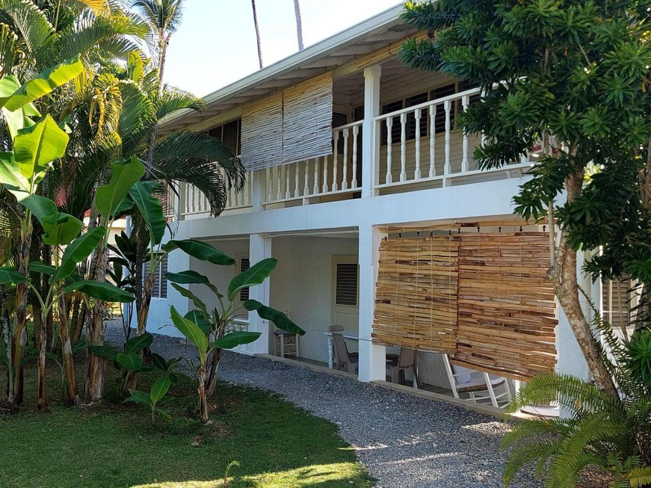Hotel Casa Robinson Las Terrenas Extérieur photo