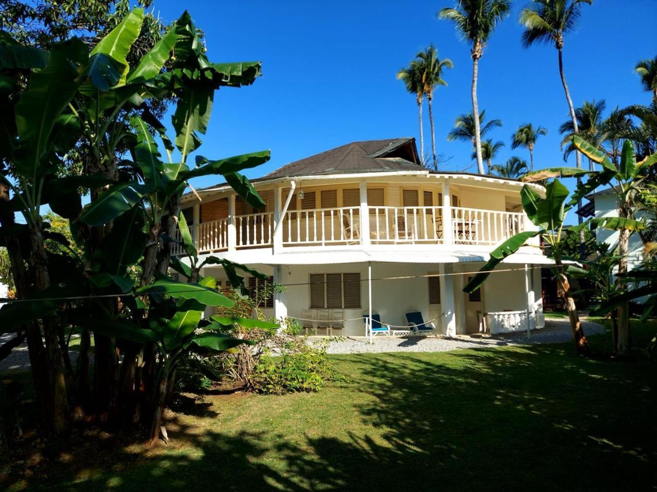Hotel Casa Robinson Las Terrenas Extérieur photo