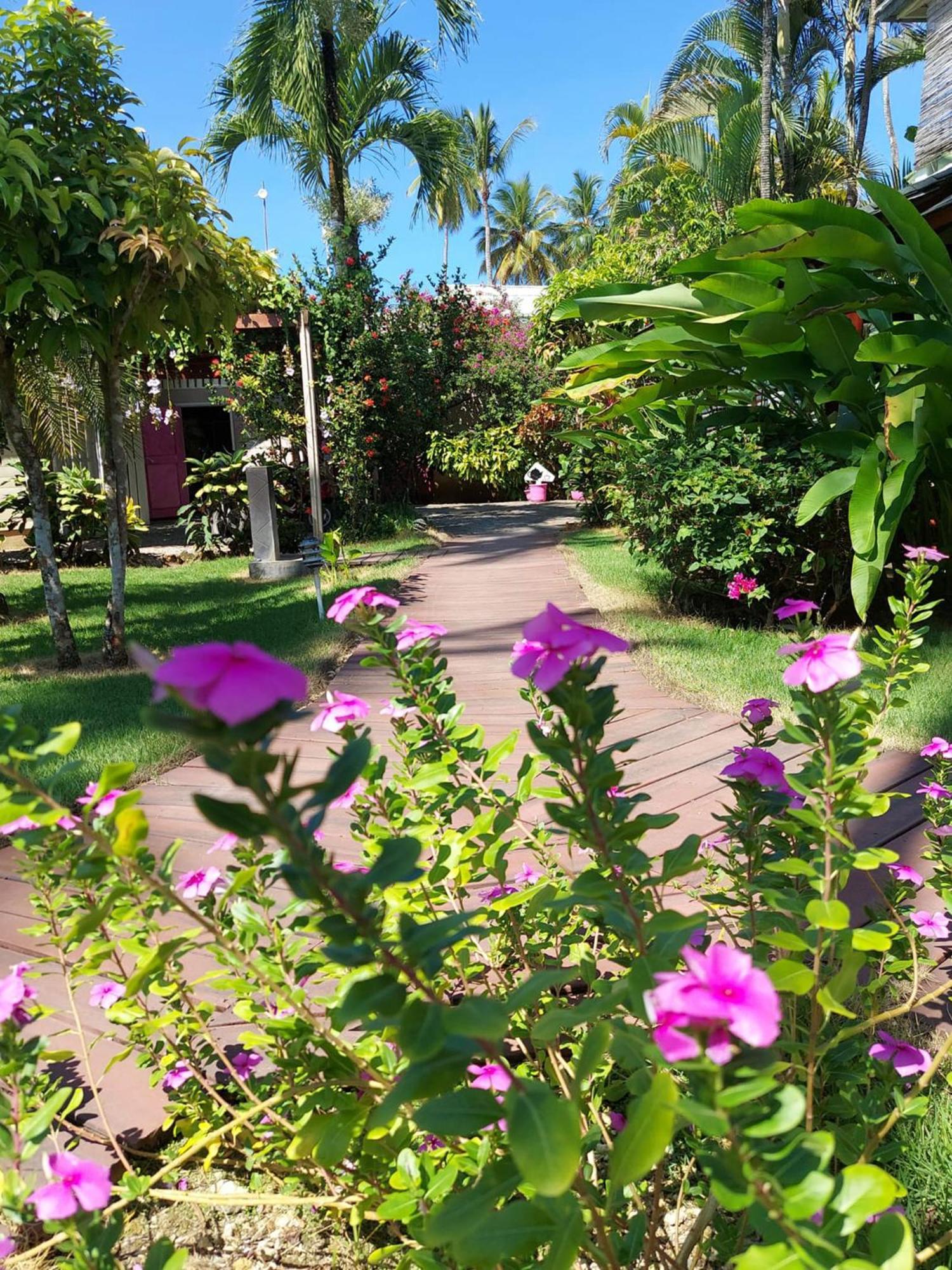 Hotel Casa Robinson Las Terrenas Extérieur photo