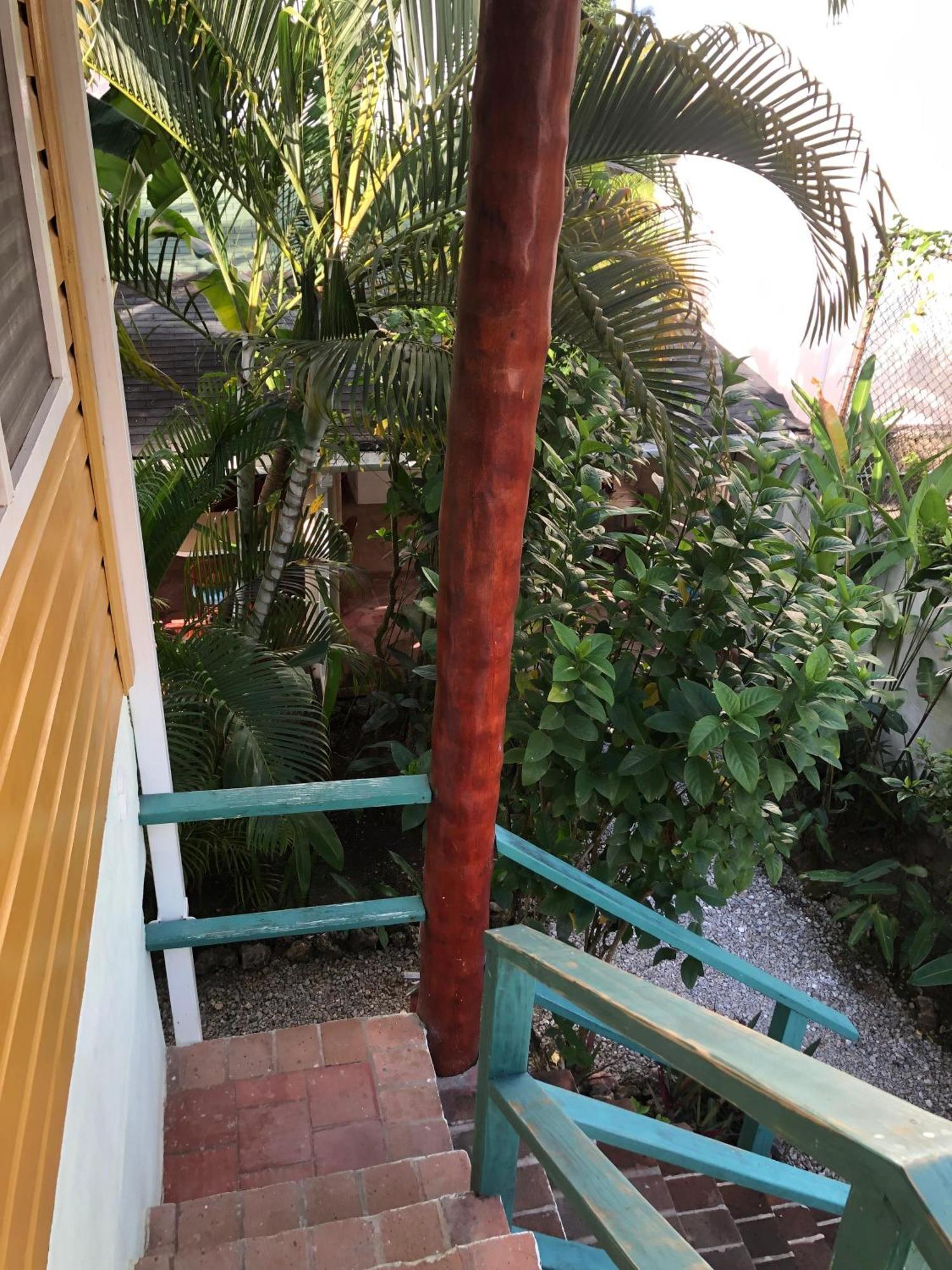 Hotel Casa Robinson Las Terrenas Extérieur photo