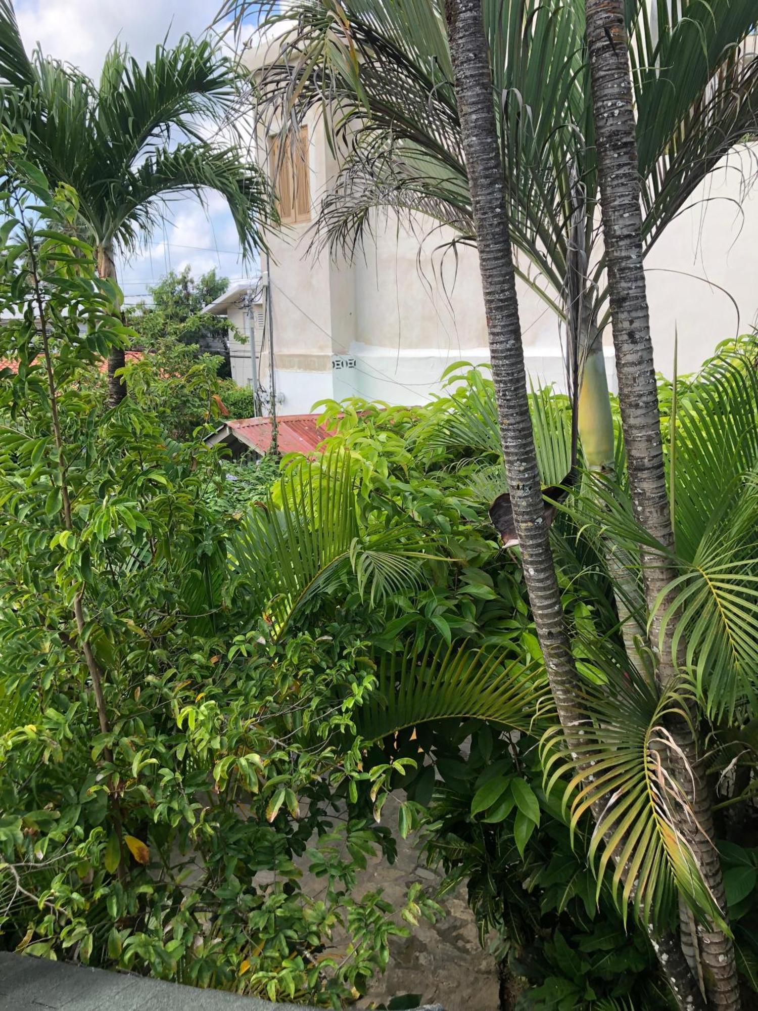 Hotel Casa Robinson Las Terrenas Extérieur photo